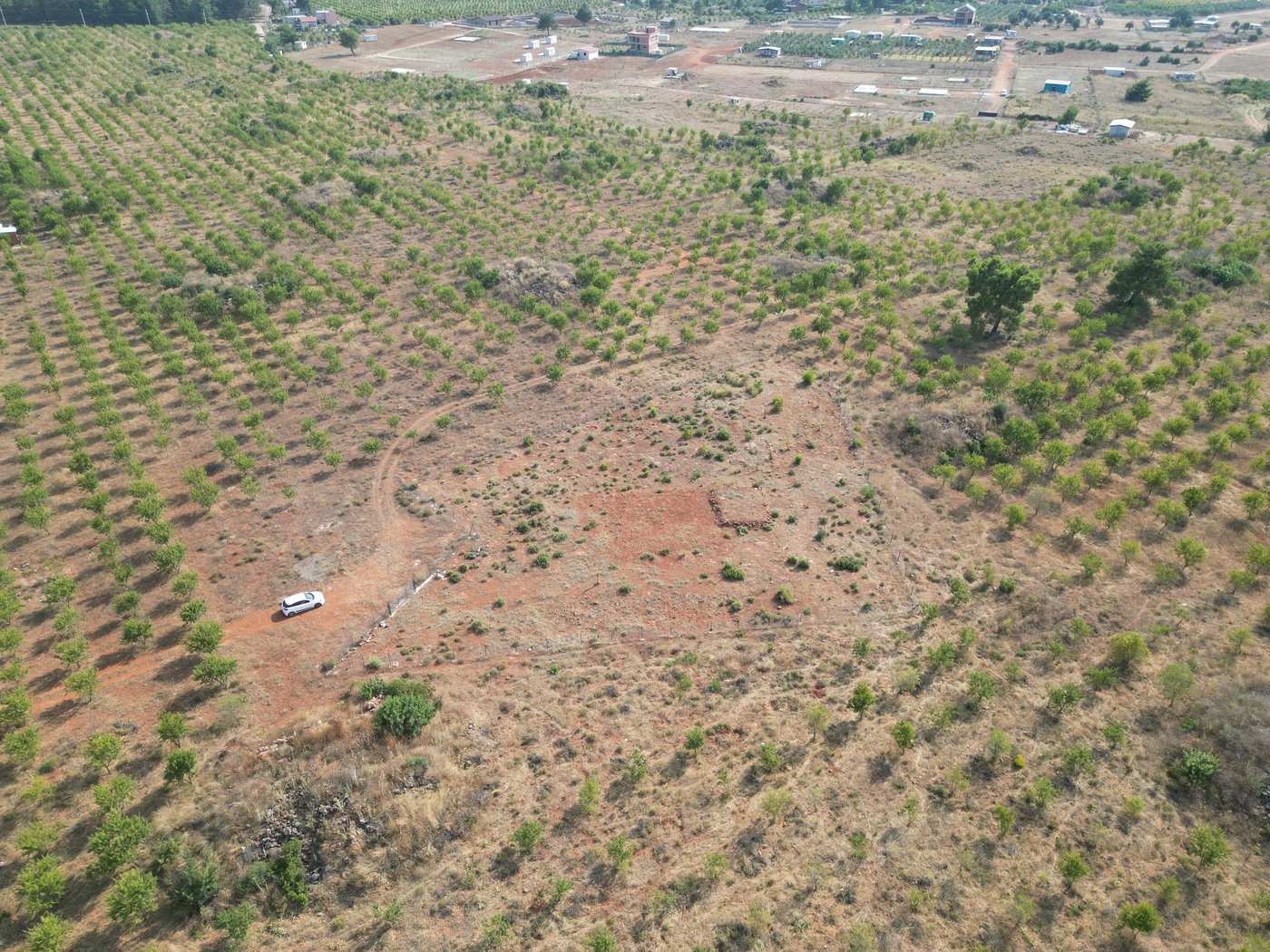 Antalya'da, Huzurlu Ormana Sıfır Premium Arsa Satılık